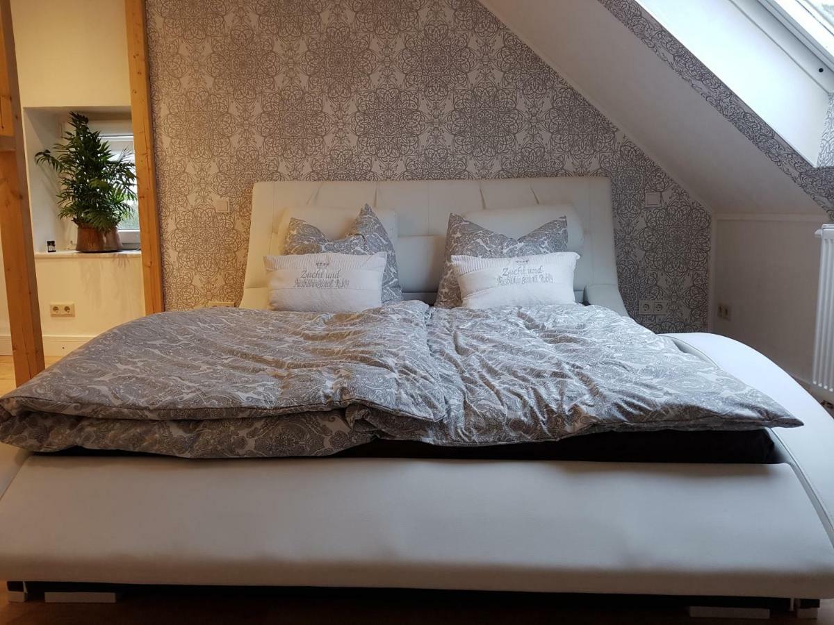 Zucht- Und Ausbildungsstall Rubly Kleinbundenbach Exteriér fotografie