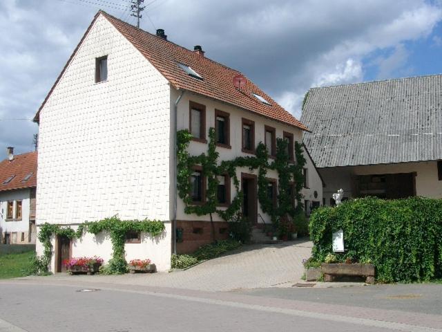 Zucht- Und Ausbildungsstall Rubly Kleinbundenbach Exteriér fotografie